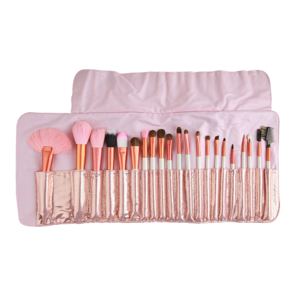 Character 21 Pieces Brush Set - CHS008