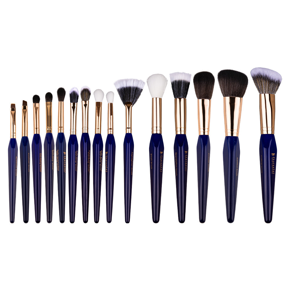 Character 15 Pieces Brush Set - CHX002