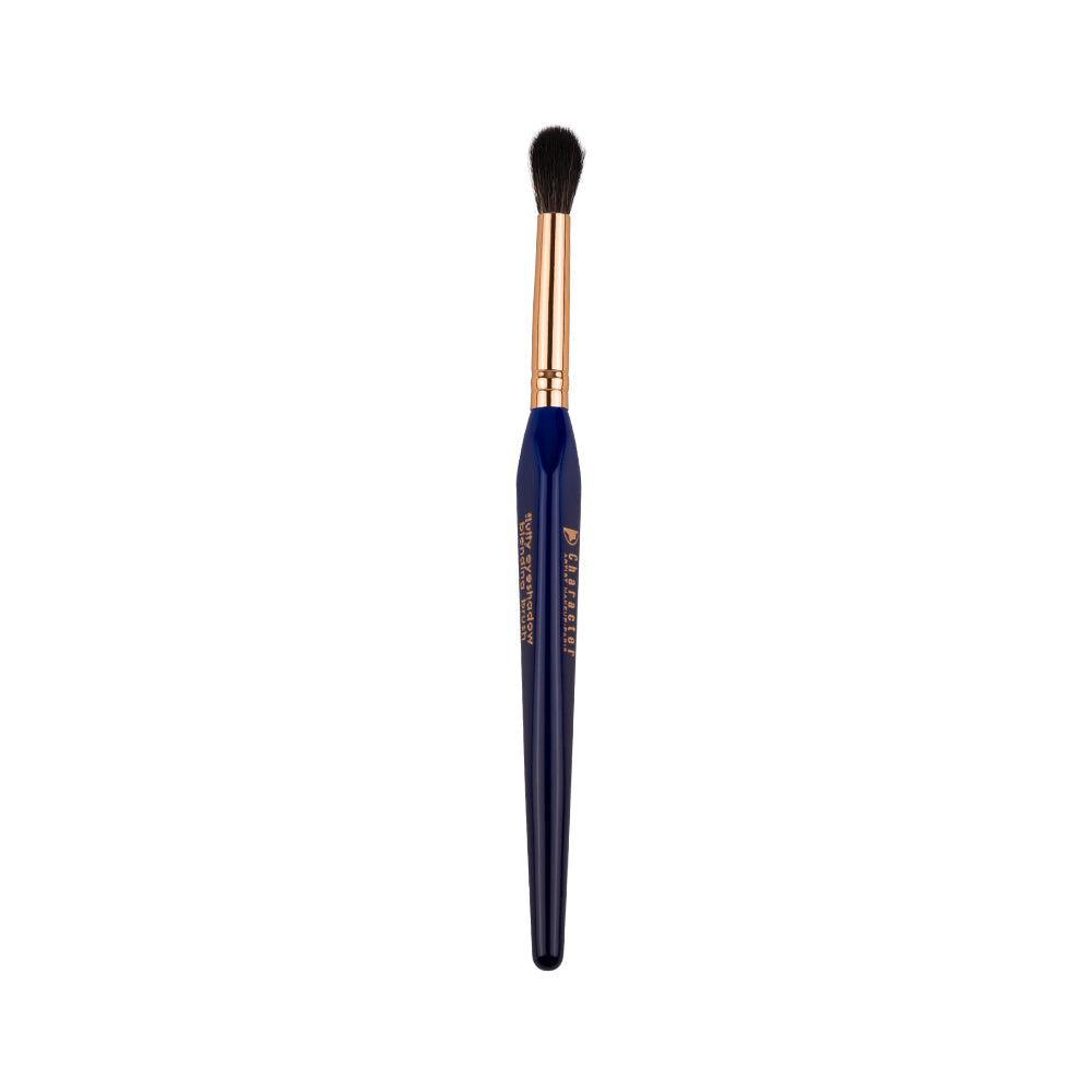 Character 15 Pieces Brush Set - CHX002