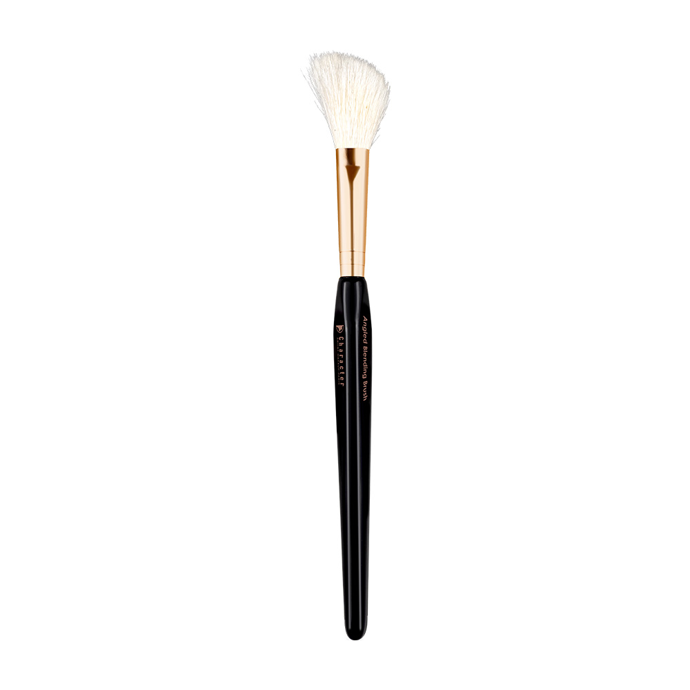 Character Angled Blending Brush - CSX023